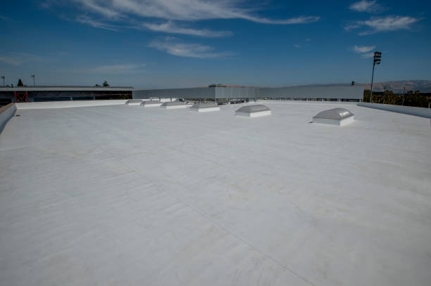 Best Sheet Metal Roofing  in Sandoval, IL