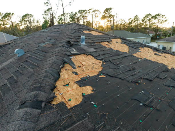 Best Solar Panel Roofing Installation  in Sandoval, IL