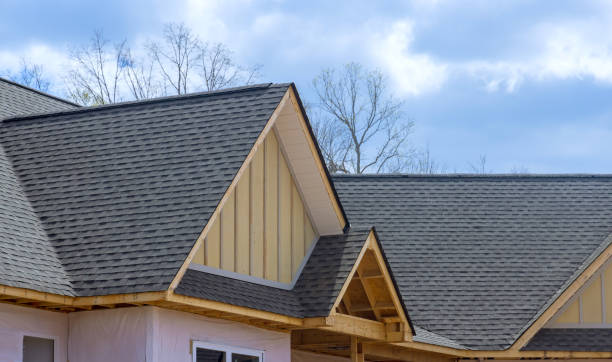 Best Skylight Installation and Repair  in Sandoval, IL